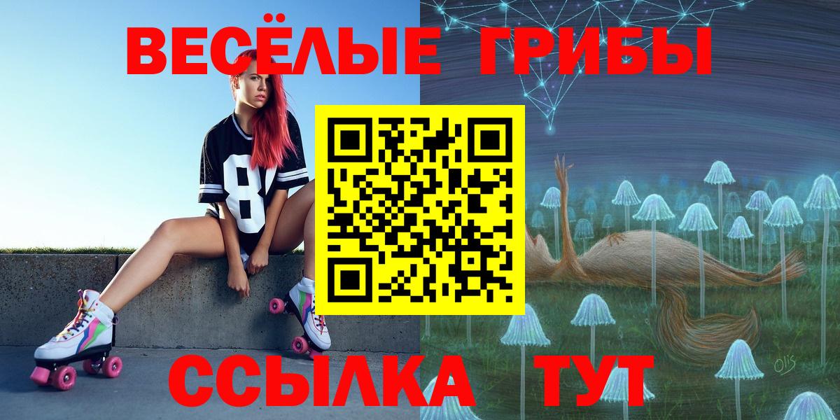 Галлюциногенные грибы Cubensis  продажа наркотиков  Усть-Илимск  Вход с VPN 